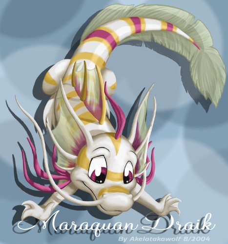 Neopets Maraquan Draik